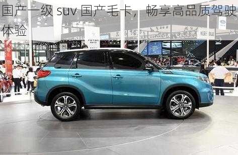 国产一级 suv 国产毛卡，畅享高品质驾驶体验