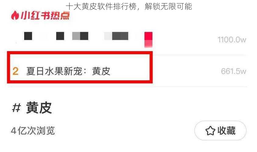 十大黄皮软件排行榜，解锁无限可能