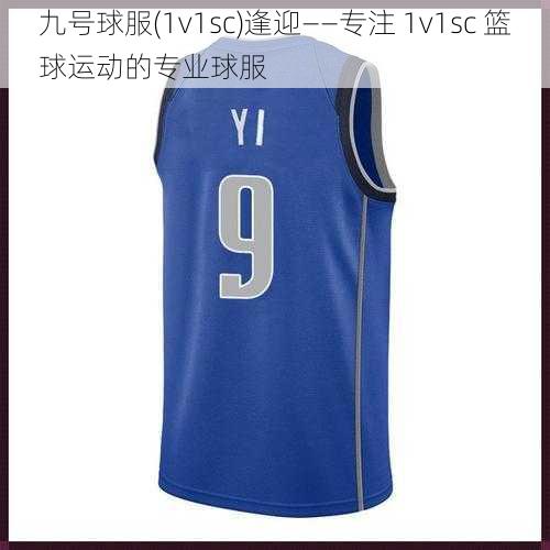 九号球服(1v1sc)逢迎——专注 1v1sc 篮球运动的专业球服