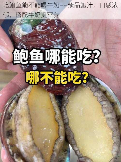 吃鲍鱼能不能喝牛奶——臻品鲍汁，口感浓郁，搭配牛奶更营养