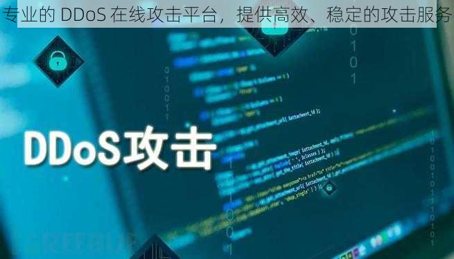 专业的 DDoS 在线攻击平台，提供高效、稳定的攻击服务