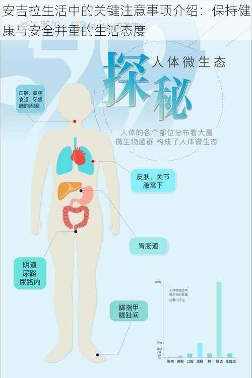 安吉拉生活中的关键注意事项介绍：保持健康与安全并重的生活态度