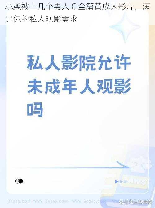 小柔被十几个男人 C 全篇黄成人影片，满足你的私人观影需求