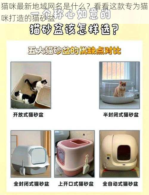 猫咪最新地域网名是什么？看看这款专为猫咪打造的猫砂盆