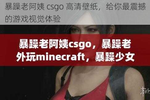 暴躁老阿姨 csgo 高清壁纸，给你最震撼的游戏视觉体验