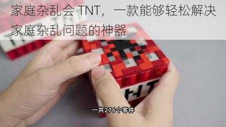 家庭杂乱会 TNT，一款能够轻松解决家庭杂乱问题的神器