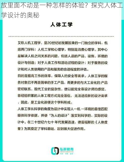 放里面不动是一种怎样的体验？探究人体工学设计的奥秘