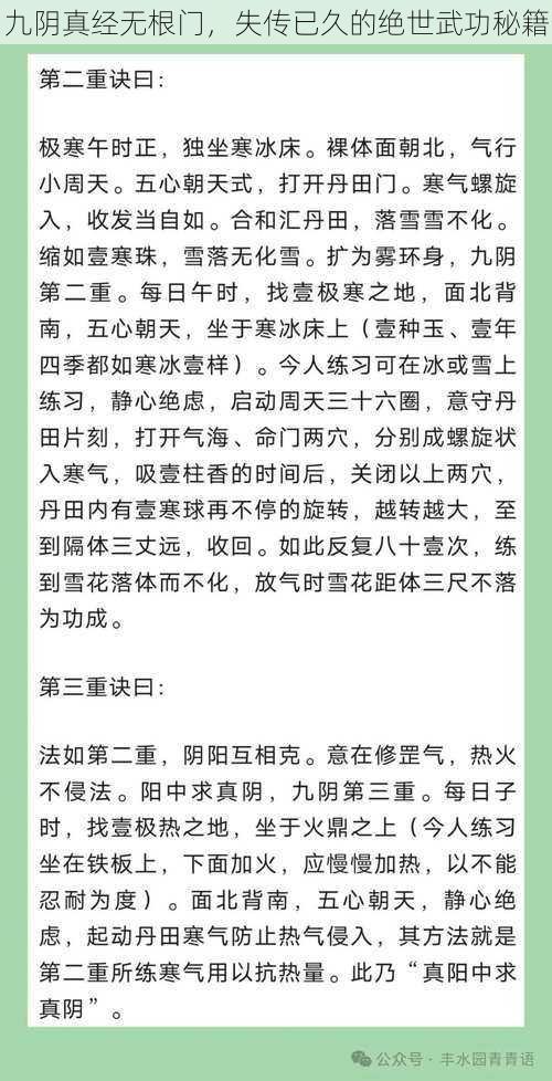 九阴真经无根门，失传已久的绝世武功秘籍