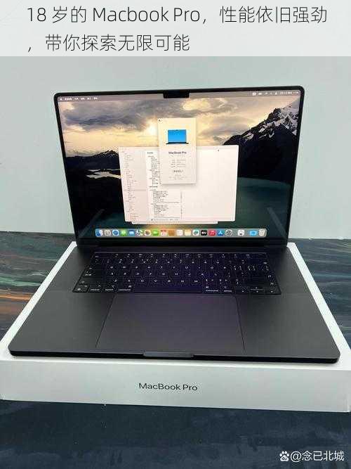 18 岁的 Macbook Pro，性能依旧强劲，带你探索无限可能