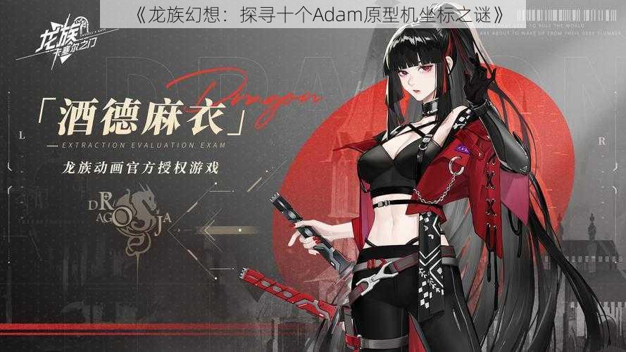 《龙族幻想：探寻十个Adam原型机坐标之谜》