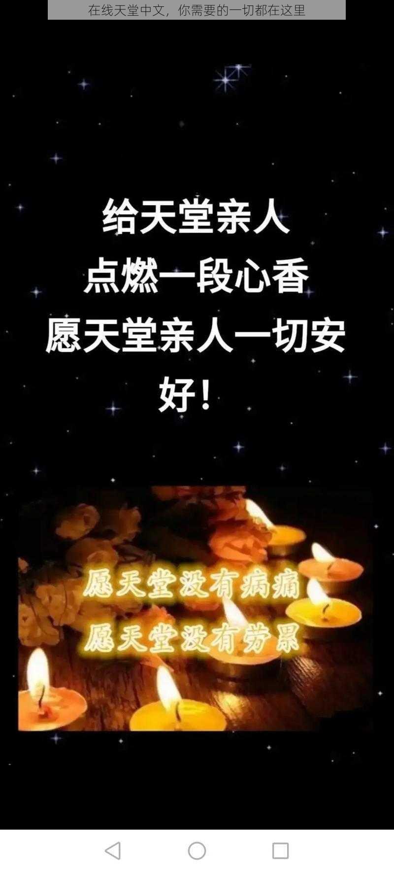 在线天堂中文，你需要的一切都在这里