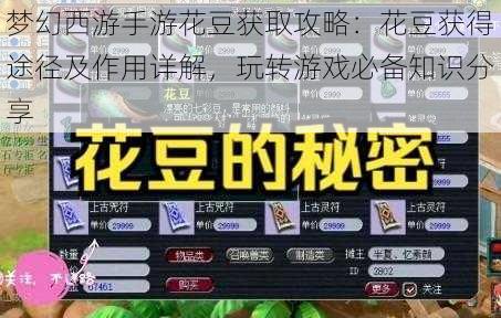 梦幻西游手游花豆获取攻略：花豆获得途径及作用详解，玩转游戏必备知识分享