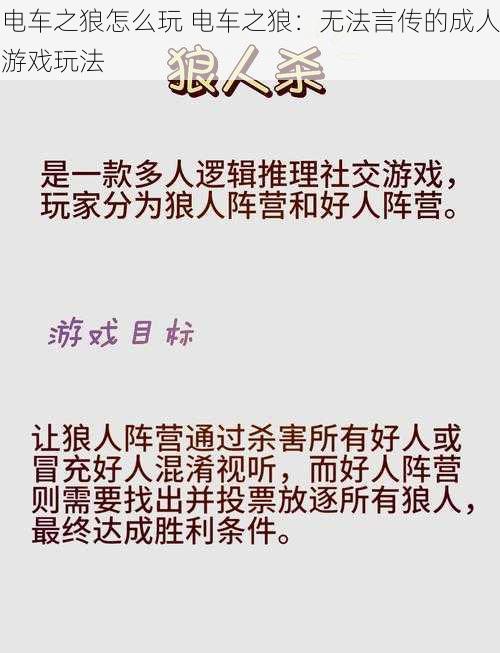 电车之狼怎么玩 电车之狼：无法言传的成人游戏玩法