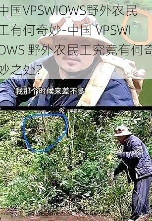 中国VPSWIOWS野外农民工有何奇妙-中国 VPSWIOWS 野外农民工究竟有何奇妙之处？