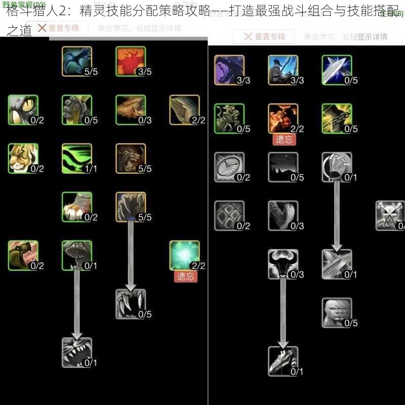 格斗猎人2：精灵技能分配策略攻略——打造最强战斗组合与技能搭配之道