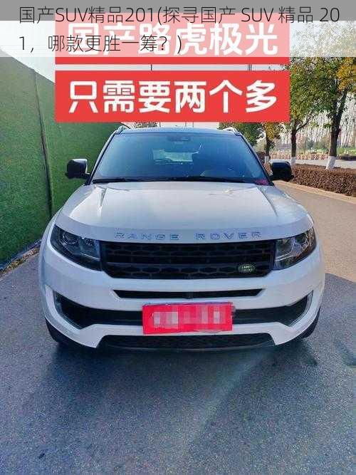 国产SUV精品201(探寻国产 SUV 精品 201，哪款更胜一筹？)