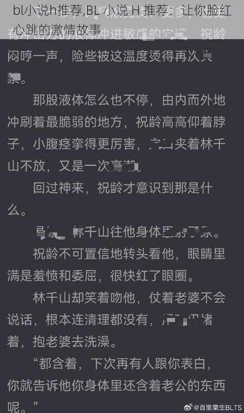 bl小说h推荐,BL 小说 H 推荐：让你脸红心跳的激情故事