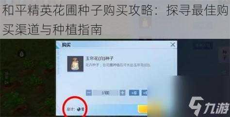 和平精英花圃种子购买攻略：探寻最佳购买渠道与种植指南