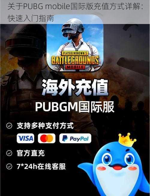 关于PUBG mobile国际版充值方式详解：快速入门指南