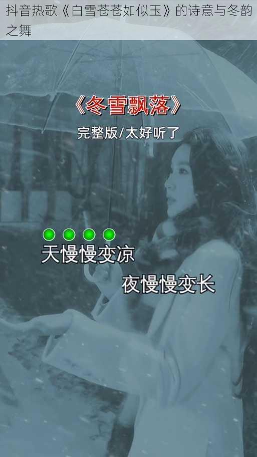 抖音热歌《白雪苍苍如似玉》的诗意与冬韵之舞