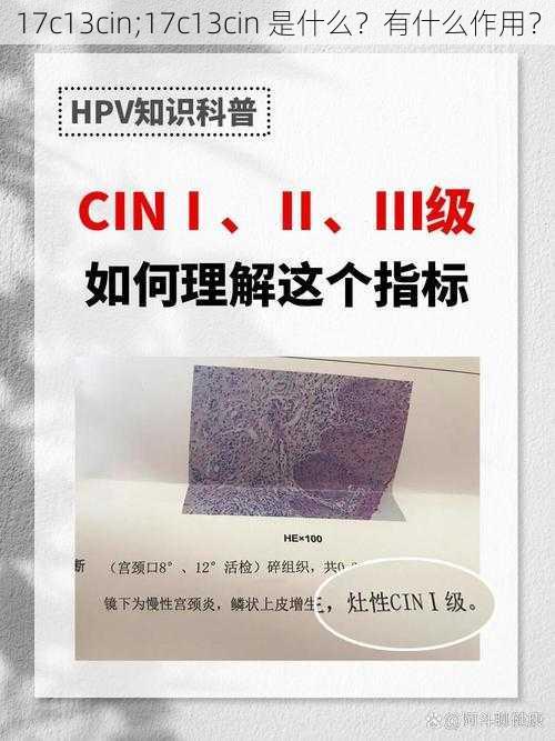 17c13cin;17c13cin 是什么？有什么作用？