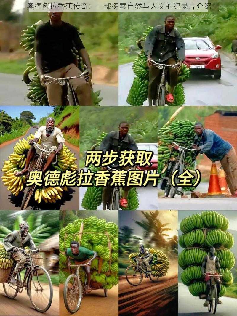 奥德彪拉香蕉传奇：一部探索自然与人文的纪录片介绍