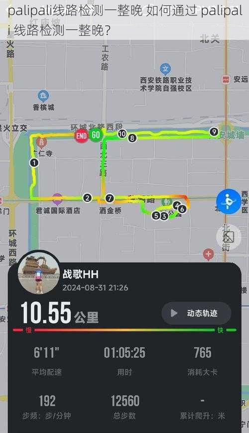 palipali线路检测一整晚 如何通过 palipali 线路检测一整晚？