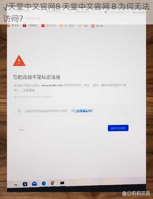 √天堂中文官网8 天堂中文官网 8 为何无法访问？