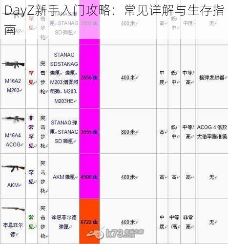 DayZ新手入门攻略：常见详解与生存指南