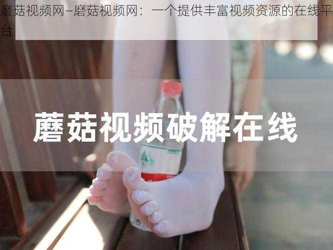 磨菇视频网—磨菇视频网：一个提供丰富视频资源的在线平台