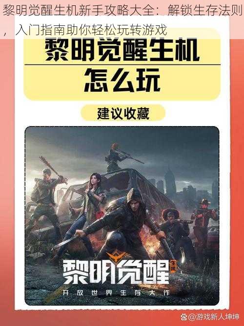 黎明觉醒生机新手攻略大全：解锁生存法则，入门指南助你轻松玩转游戏