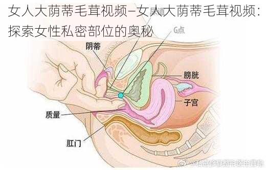 女人大荫蒂毛茸视频—女人大荫蒂毛茸视频：探索女性私密部位的奥秘