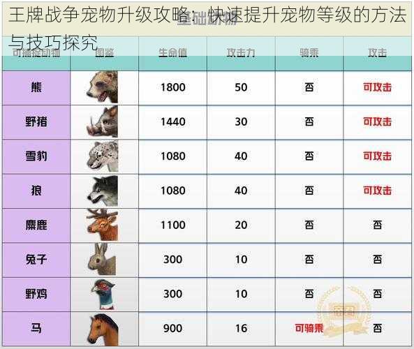 王牌战争宠物升级攻略：快速提升宠物等级的方法与技巧探究