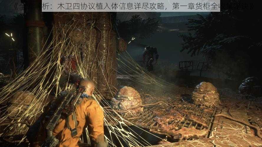 《全面解析：木卫四协议植入体信息详尽攻略，第一章货柜全收集秘诀》