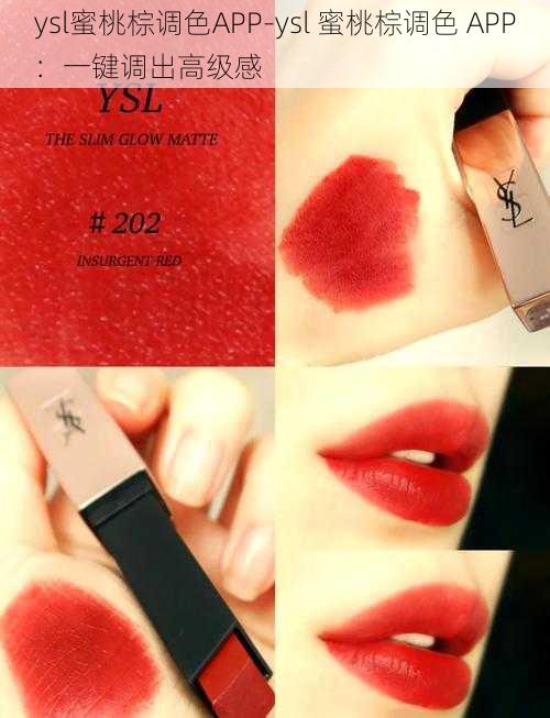 ysl蜜桃棕调色APP-ysl 蜜桃棕调色 APP：一键调出高级感