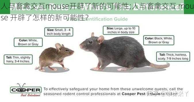 人与畜禽交互mouse开辟了新的可能性;人与畜禽交互 mouse 开辟了怎样的新可能性？