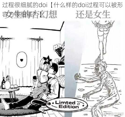 过程很细腻的doi【什么样的doi过程可以被形容为很细腻？】