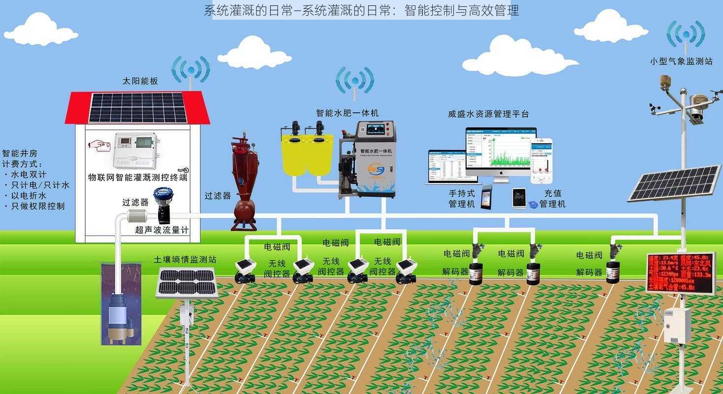 系统灌溉的日常—系统灌溉的日常：智能控制与高效管理