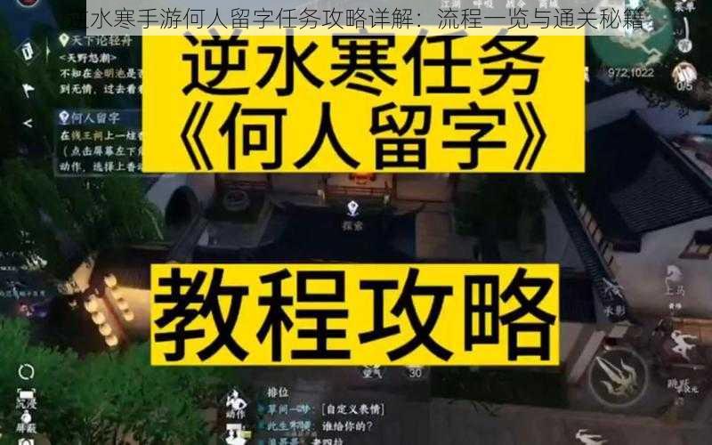 逆水寒手游何人留字任务攻略详解：流程一览与通关秘籍