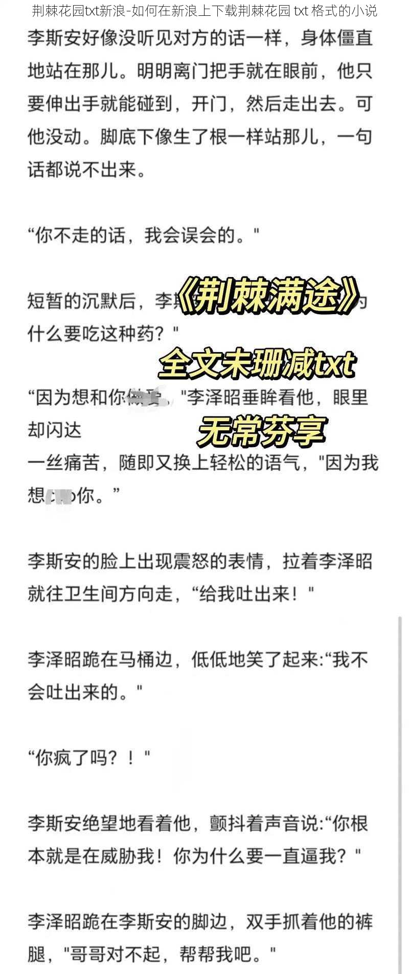 荆棘花园txt新浪-如何在新浪上下载荆棘花园 txt 格式的小说