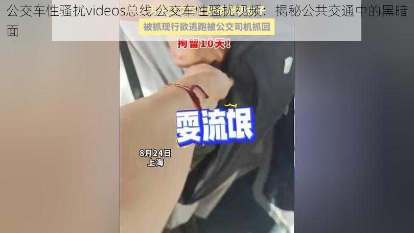 公交车性骚扰videos总线 公交车性骚扰视频：揭秘公共交通中的黑暗面