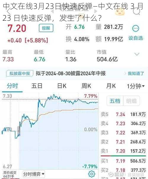 中文在线3月23日快速反弹—中文在线 3 月 23 日快速反弹，发生了什么？