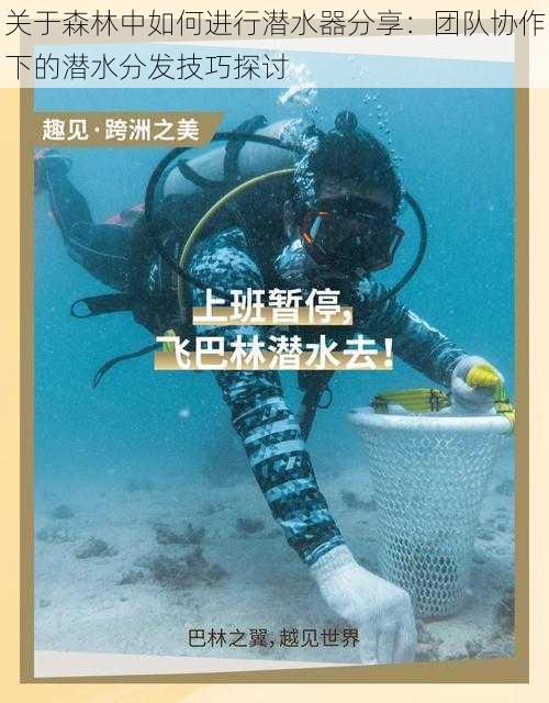 关于森林中如何进行潜水器分享：团队协作下的潜水分发技巧探讨