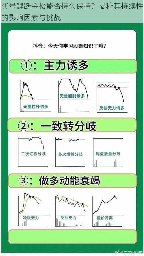 买号鲤跃金松能否持久保持？揭秘其持续性的影响因素与挑战