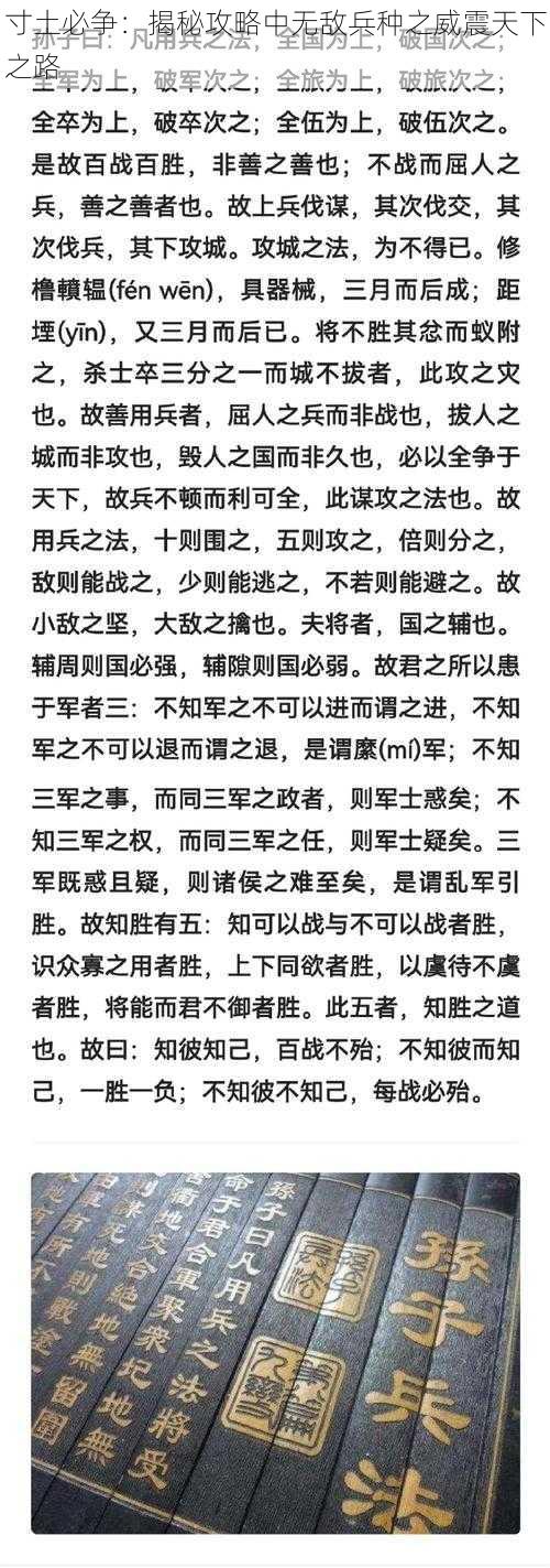 寸土必争：揭秘攻略中无敌兵种之威震天下之路