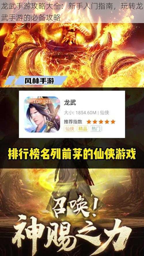 龙武手游攻略大全：新手入门指南，玩转龙武手游的必备攻略