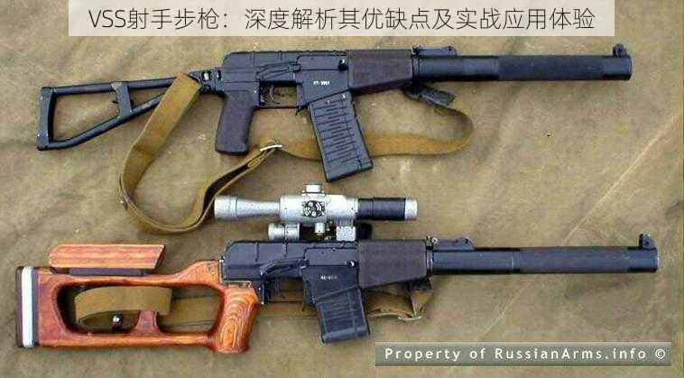 VSS射手步枪：深度解析其优缺点及实战应用体验