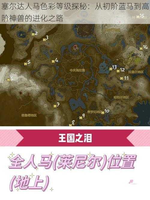 塞尔达人马色彩等级探秘：从初阶蓝马到高阶神兽的进化之路