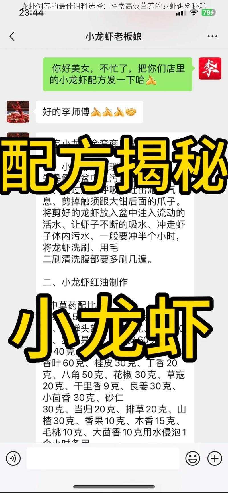 龙虾饲养的最佳饵料选择：探索高效营养的龙虾饵料秘籍