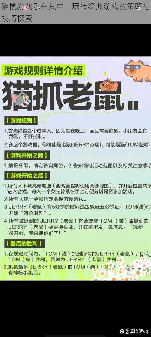 猫鼠游戏乐在其中：玩转经典游戏的策略与技巧探索